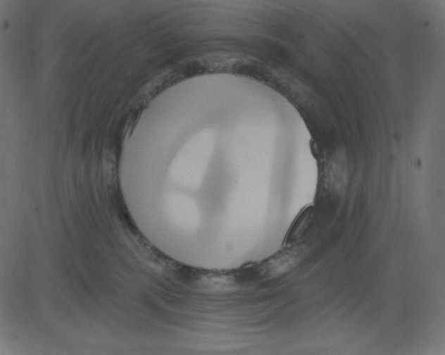 X0000081300283200702012317