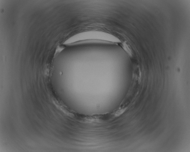 X0000081300284200702012317