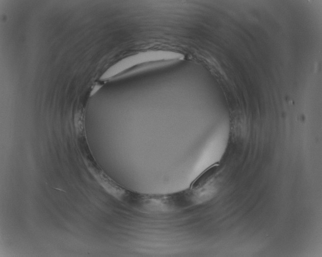 X0000081300285200702012317