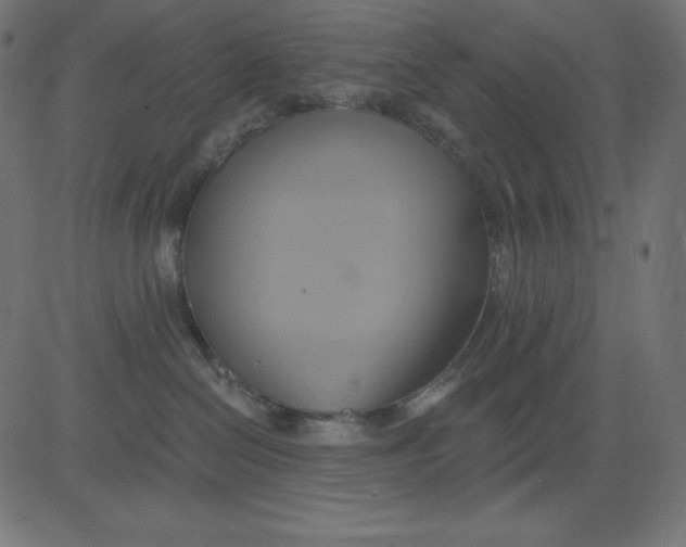 X0000081300286200702012317