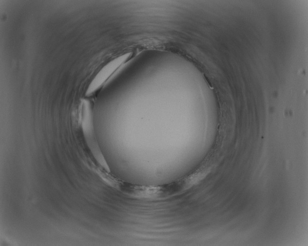 X0000081300288200702012317