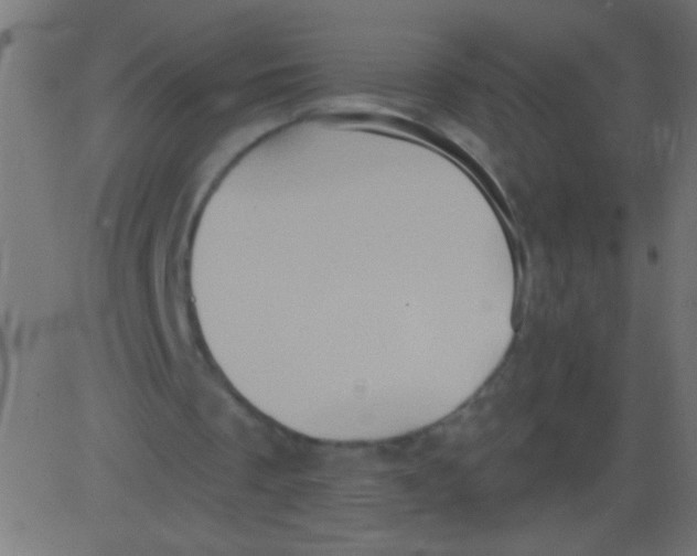 X0000081300289200702012316