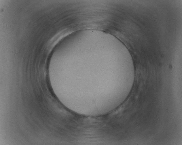 X0000081300290200702012316