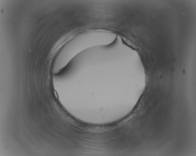 X0000081300293200702012316