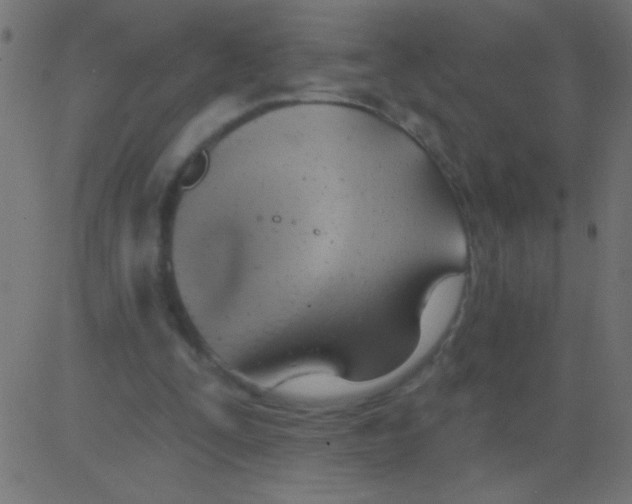 X0000081300295200702012316