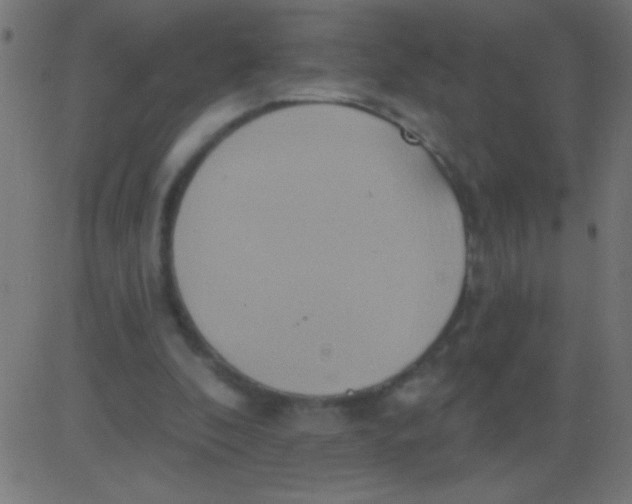 X0000081300296200702012316