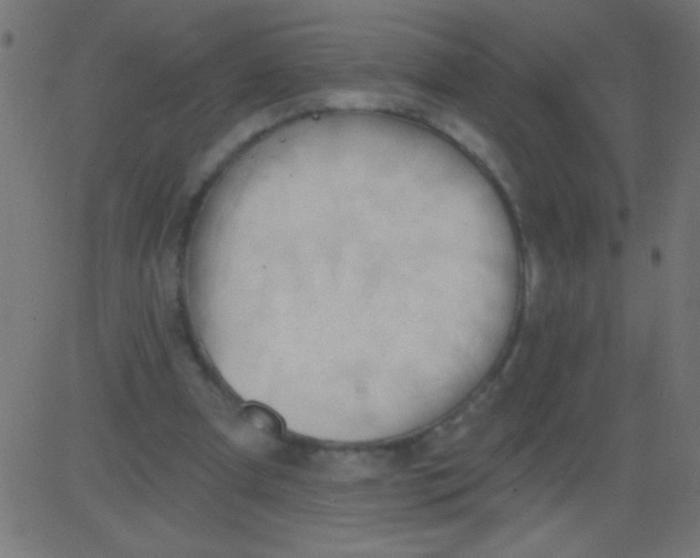 X0000081300297200702012316