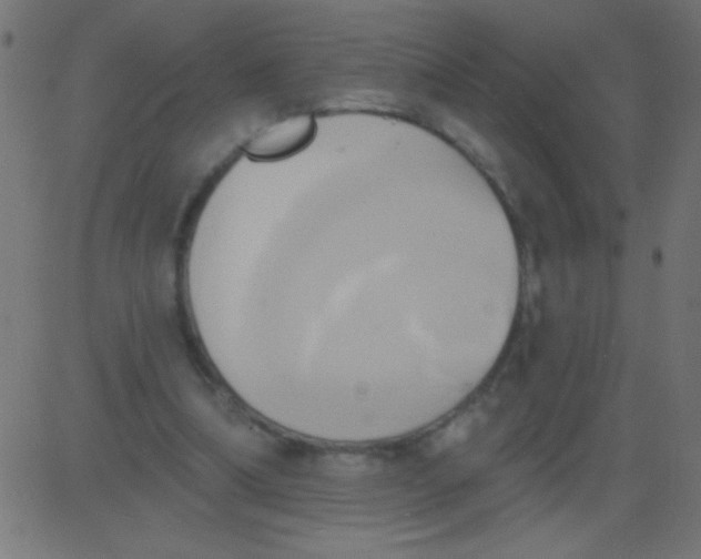 X0000081300298200702012316