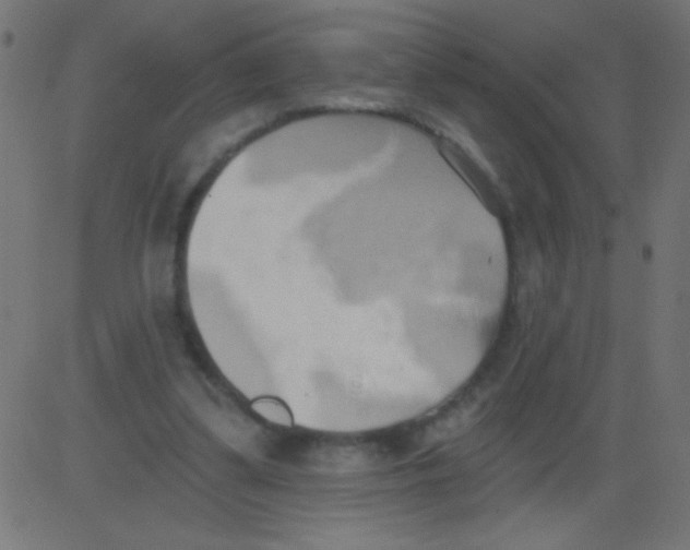 X0000081300299200702012316