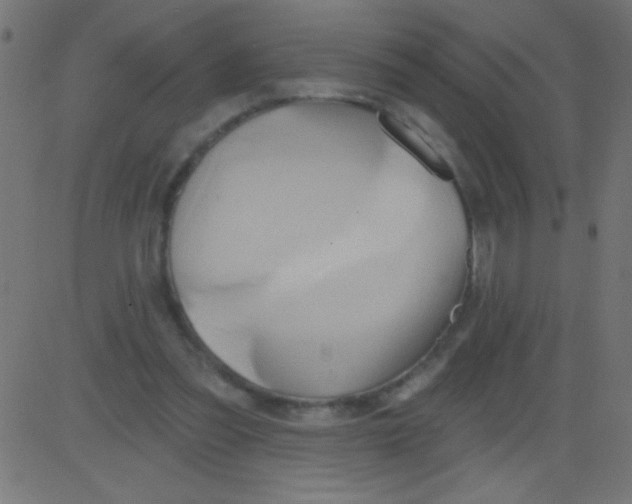 X0000081300301200702012316