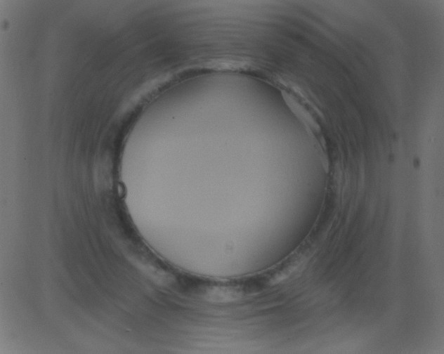 X0000081300303200702012316