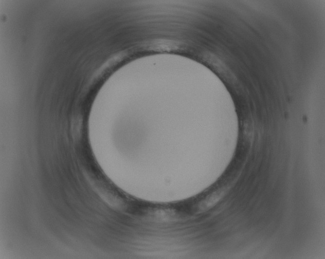 X0000081300304200702012316