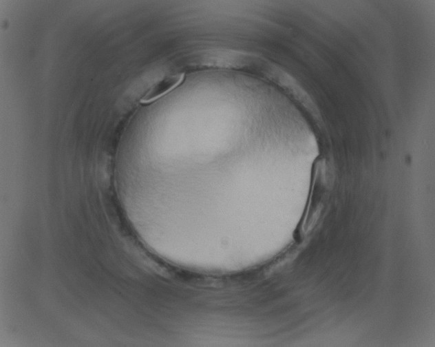 X0000081300305200702012316