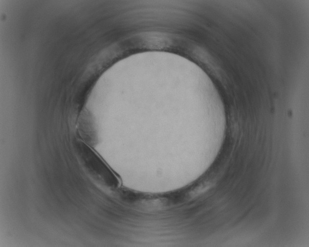 X0000081300307200702012316