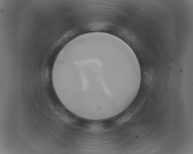 X0000081300308200702012316