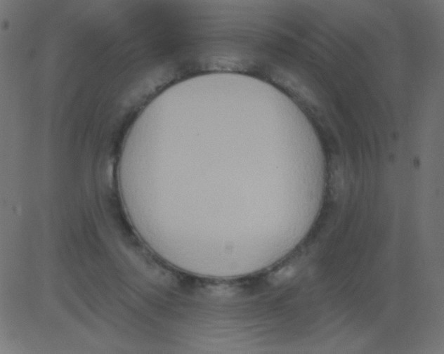 X0000081300310200702012316