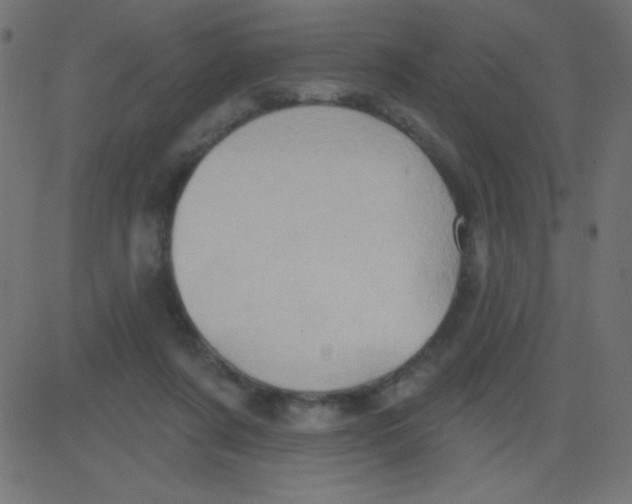 X0000081300311200702012316