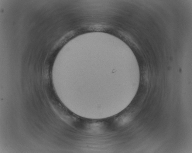 X0000081300312200702012316