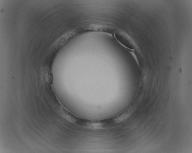 X0000081300313200702012316