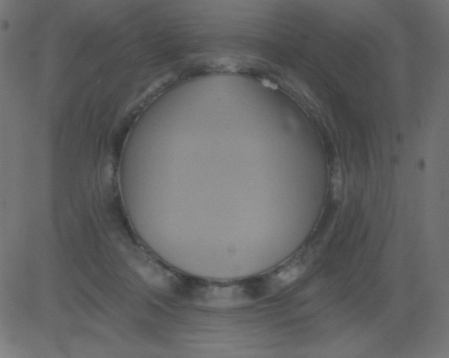 X0000081300314200702012316