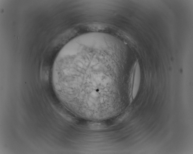 X0000081300315200702012316