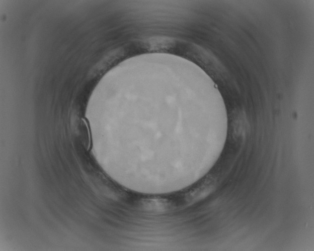 X0000081300316200702012316