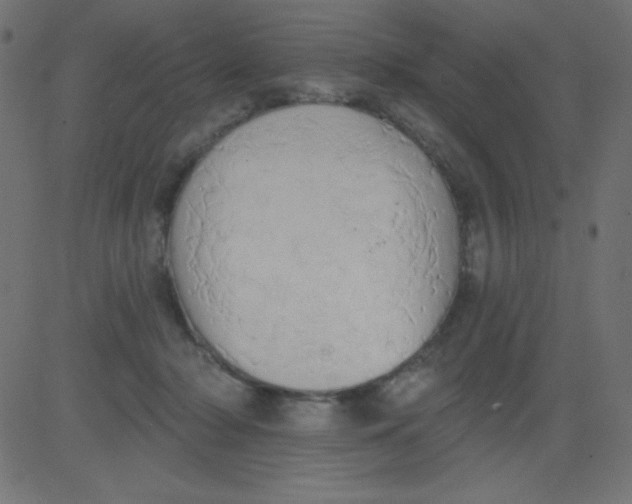 X0000081300318200702012316