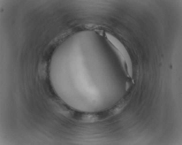 X0000081300319200702012316