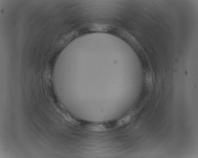 X0000081300322200702012316