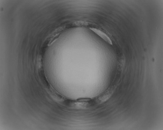 X0000081300323200702012316