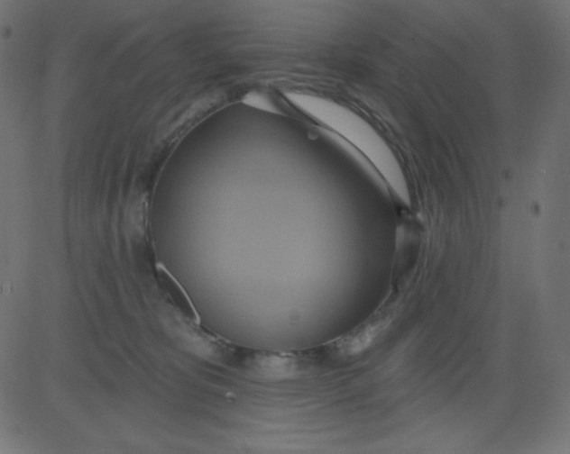 X0000081300325200702012316