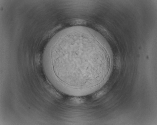 X0000081300326200702012316