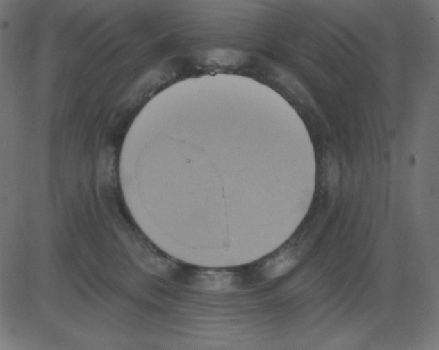 X0000081300328200702012315