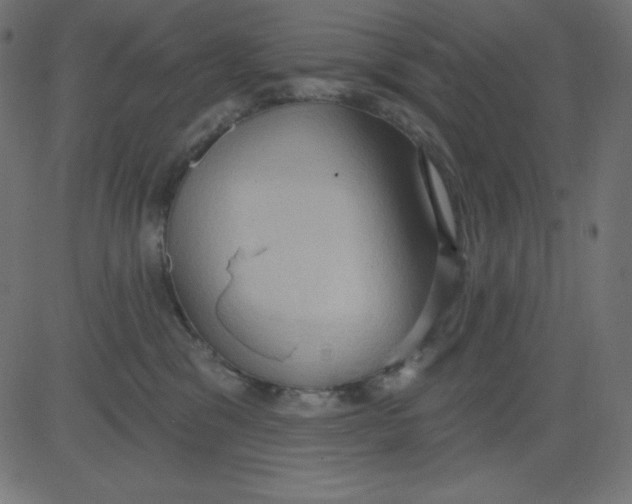 X0000081300329200702012315