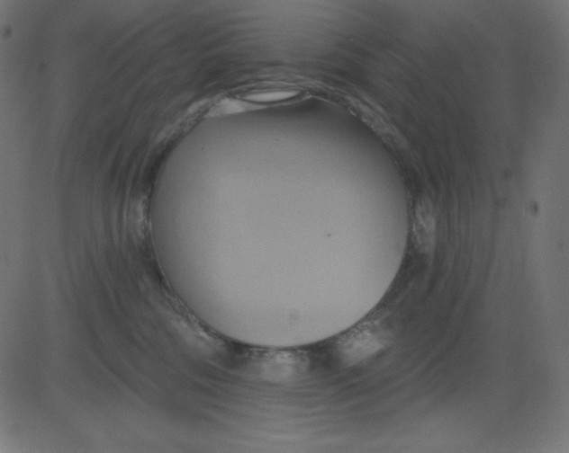 X0000081300330200702012315