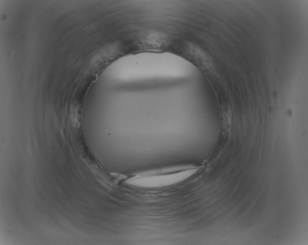 X0000081300331200702012315