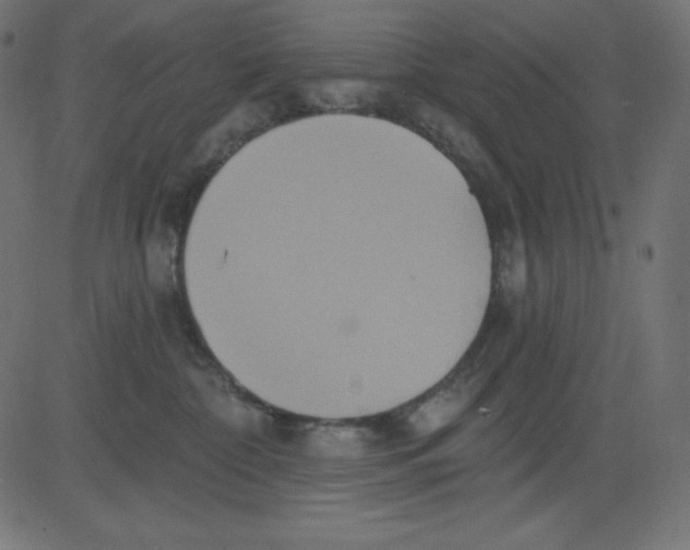 X0000081300332200702012315