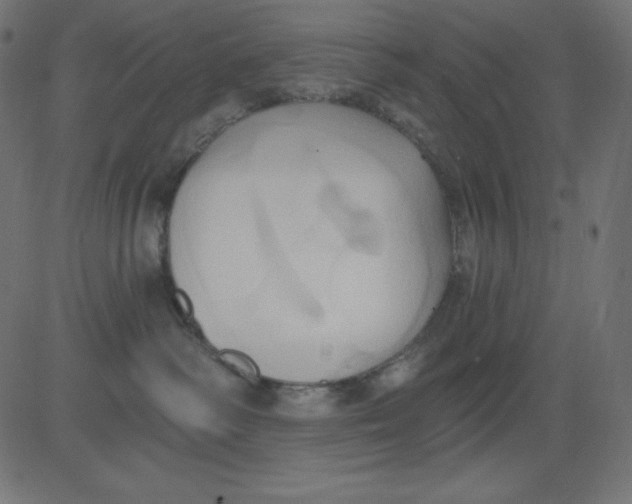 X0000081300334200702012315