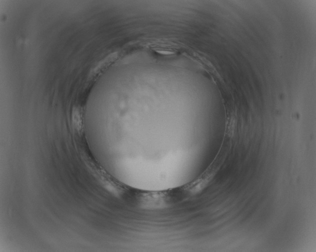 X0000081300335200702012315