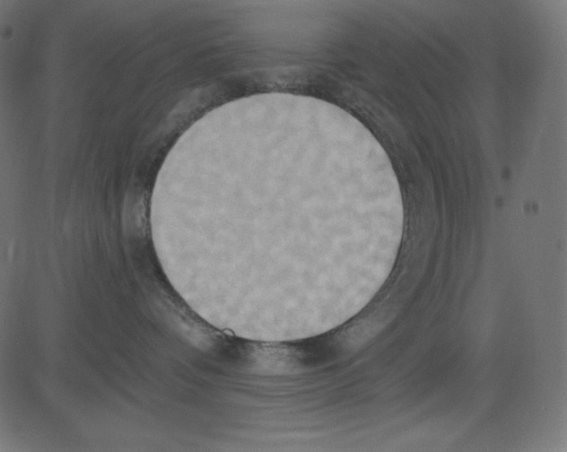 X0000081300336200702012315