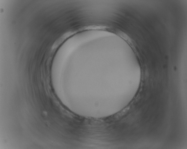 X0000081300337200702012315