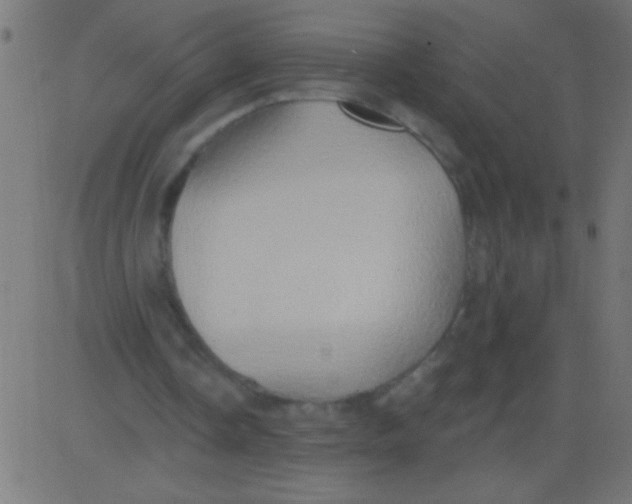 X0000081300338200702012315