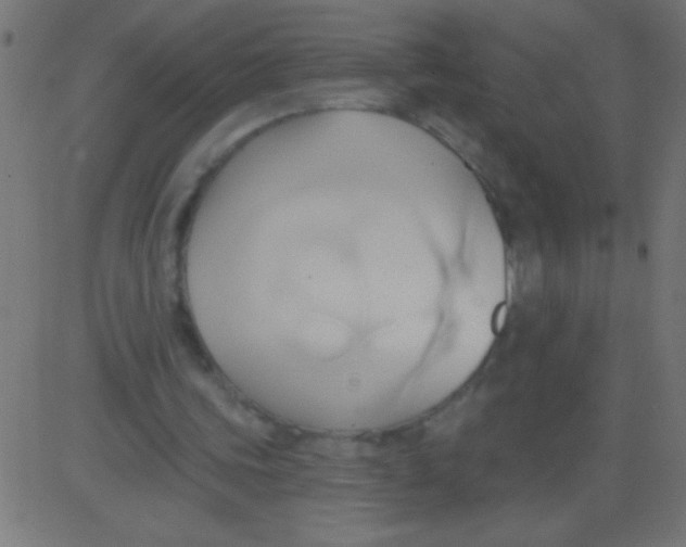 X0000081300339200702012315