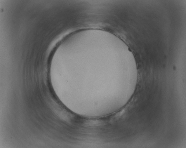 X0000081300342200702012315