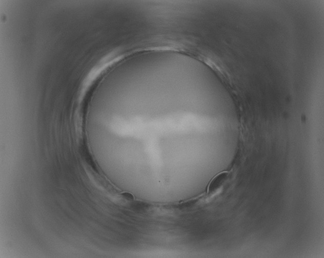 X0000081300343200702012315