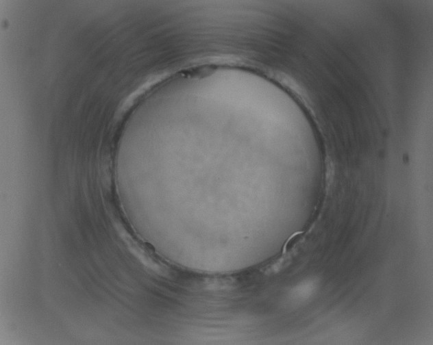 X0000081300345200702012315