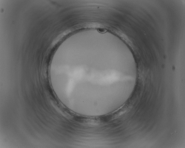 X0000081300347200702012315