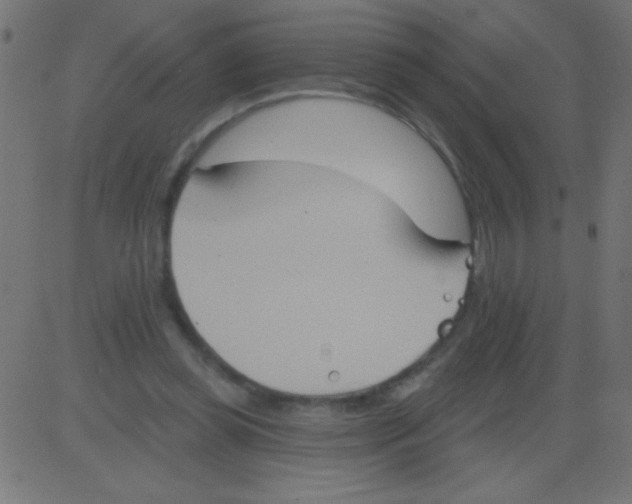 X0000081300349200702012315