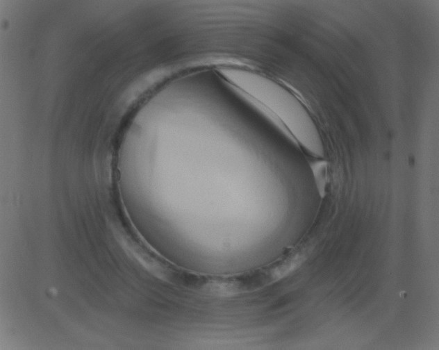 X0000081300350200702012315