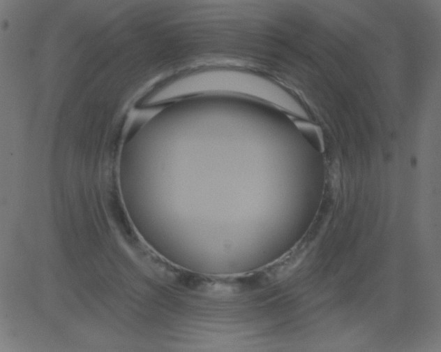 X0000081300352200702012315